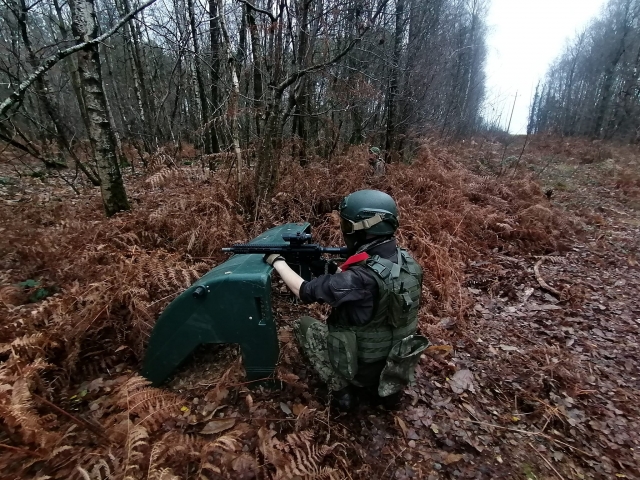 Escóndete en el bosque 