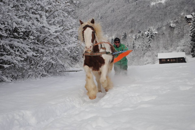  雪上运动 