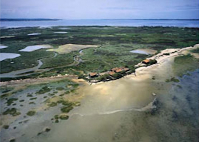  Vista aérea de la Isla de los Pájaros 