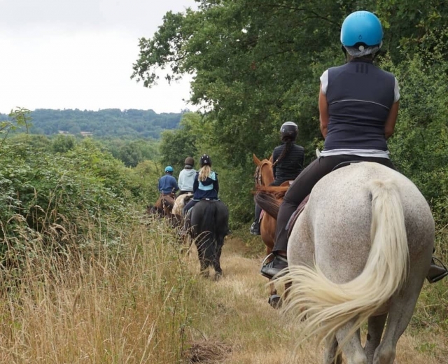  Passeggiata a cavallo nei campi 