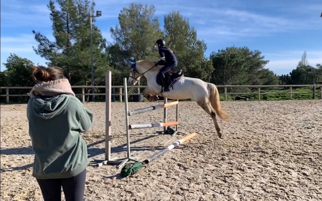 Des chevaux et des cavaliers pros