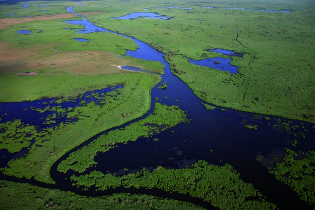 Aerial view in Loire Atlantique 
