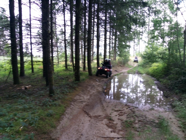  Quad forest trail 