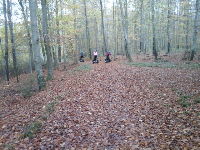 Walk in the woods near Reichshoffen 
