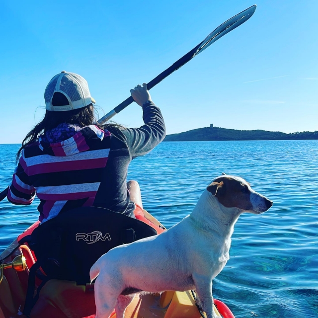  Kayak de mar con perro 