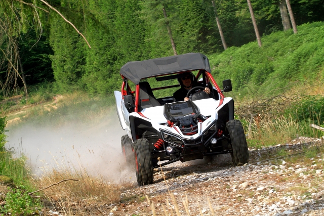  Buggy hart! 