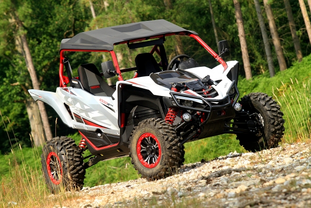  Buggy fermo 