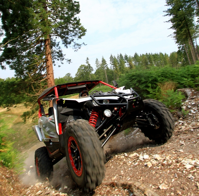  Buggy che slitta 