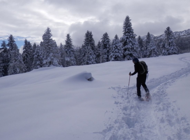  Ein Gefühl der Freiheit 