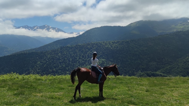  Pequeño hambriento para el caballo 