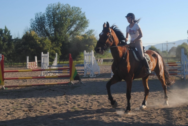  Scoperta dell'equitazione 