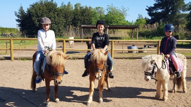  I nostri pony!