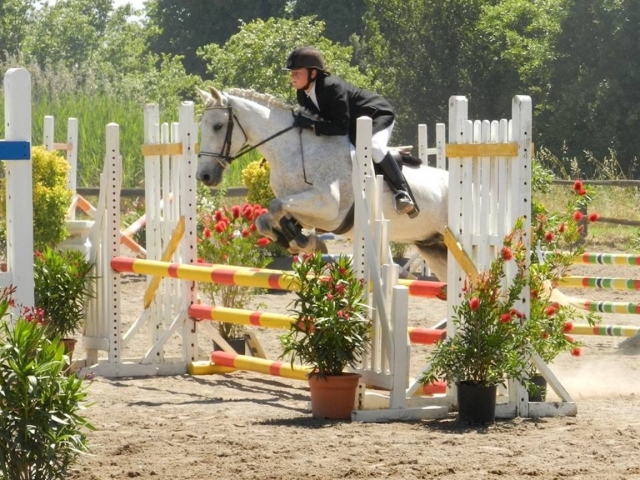  Un bellissimo cavallo bianco! 
