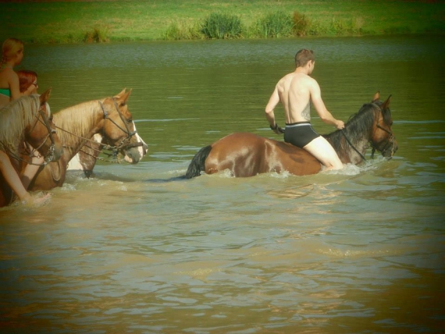  Reiten im Wasser 