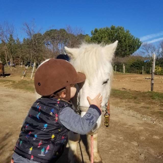  Los niños adoran nuestros pequeños ponis 