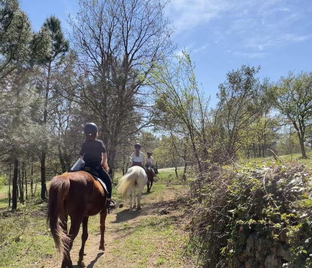  Paseos a caballo en Ardèche 