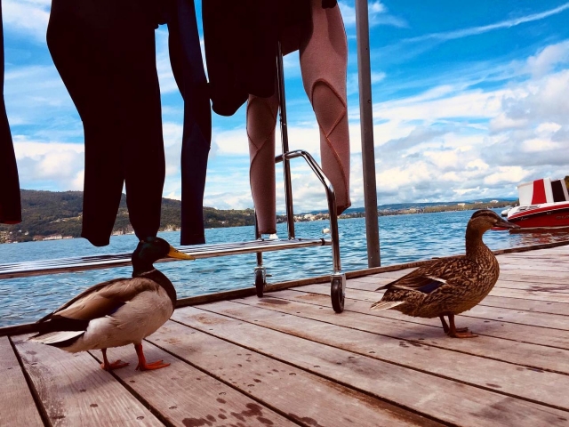  Visitors on the pontoon! 