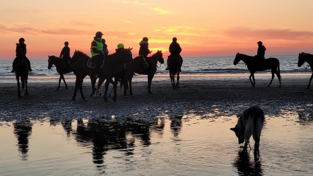  Horseback riding at sunset. 