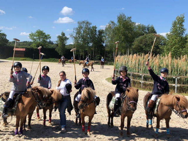  Nervenkitzel auf Ponys. 