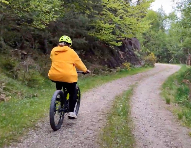 Una actividad para compartir