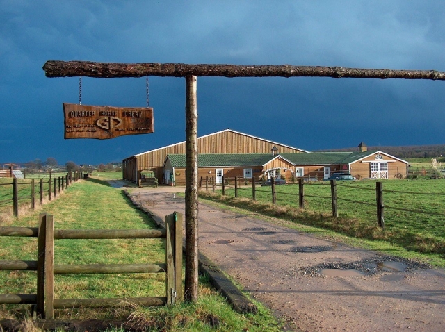Il nostro centro equestre. 