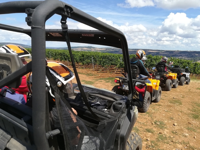  勃艮第中心的越野车郊游 