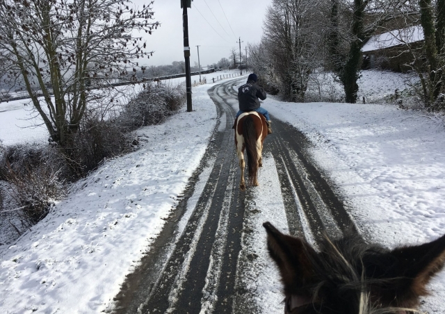  Reiten im Schnee 