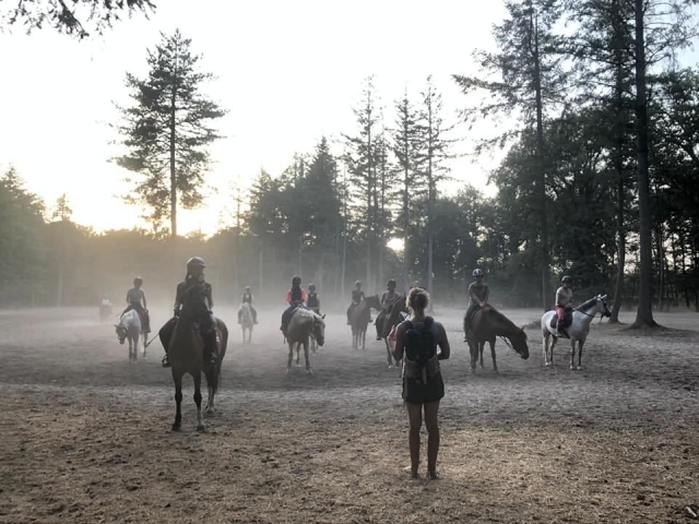  Vamos a dar un paseo a caballo 