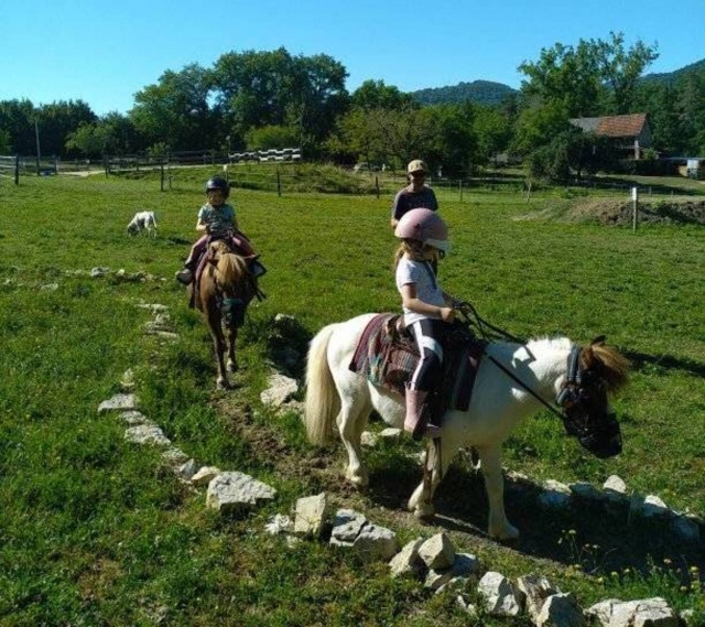  Tiempo emocionante en pony para niños 