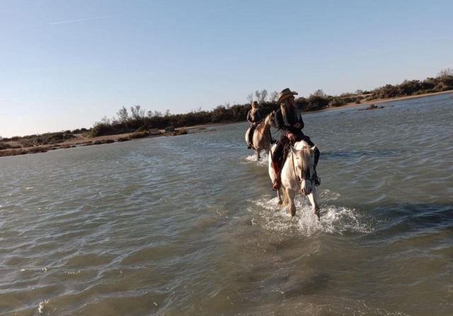  Attraversare le acque della Camargue 