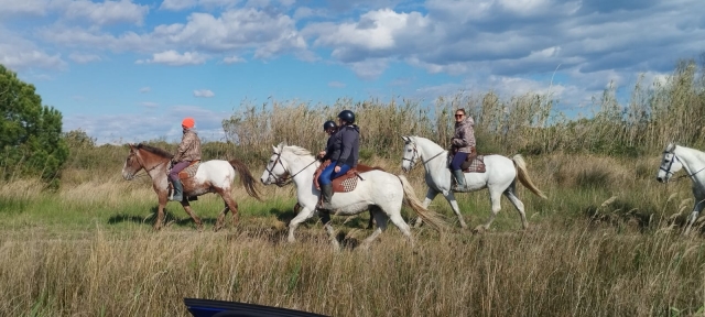 Passeggiata in Camargue 