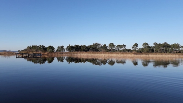  ¡La calma del lago Biscarrosse 