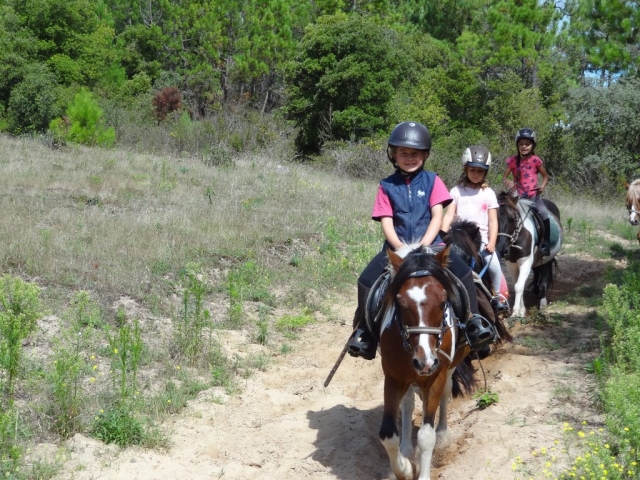  Entdeckung des Reitens in der Vendée 