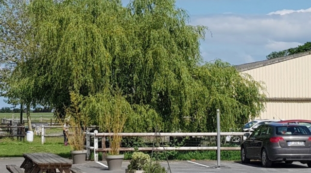  Reitzentrum Saint-Loup- Ausgenommen 