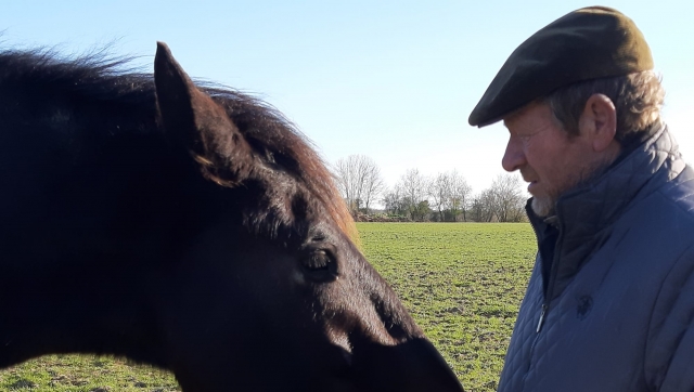  complicidad con el caballo 