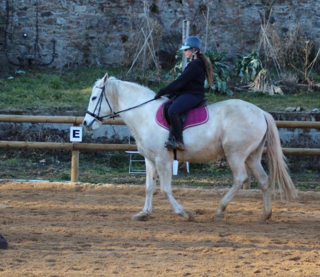 Escursione a cavallo 