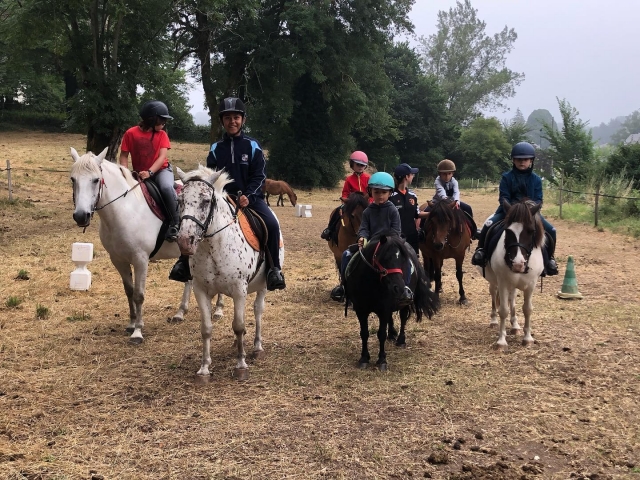  Servizi equestri per tutte le età 