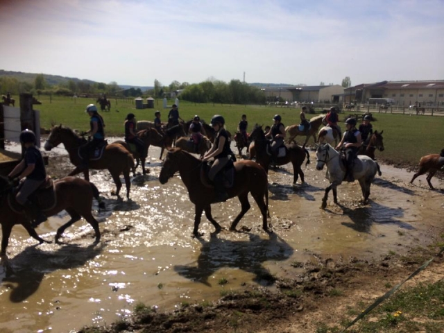  Descubrimiento de los paisajes de Coincy a caballo 