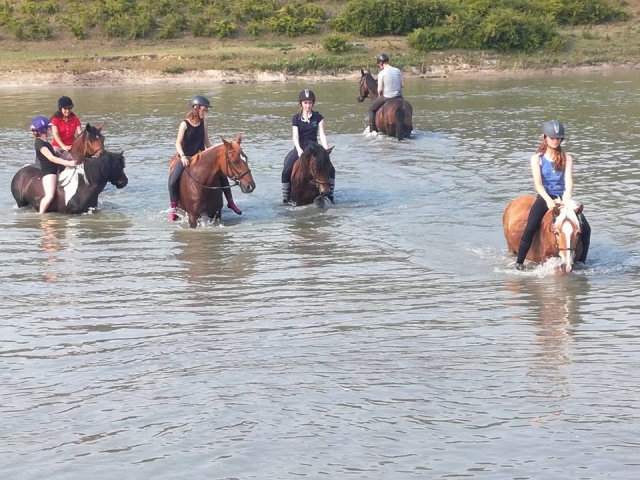  Passeggiata a cavallo di gruppo 