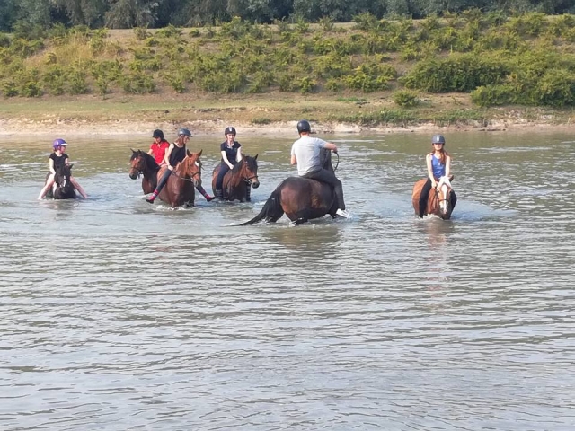  Passeggiate a cavallo nell'acqua 