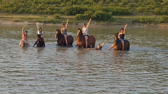  Attività divertente a cavallo 