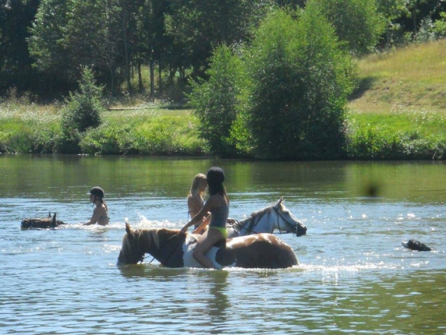 Our horses love being in the water 