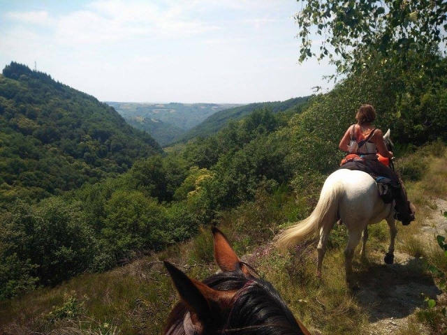  Horseback riding in the forests of Cantal 