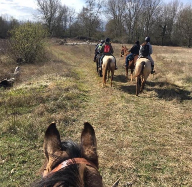  Paseos a caballo en Ariège