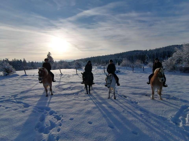  Passeggiata a cavallo al tramonto 