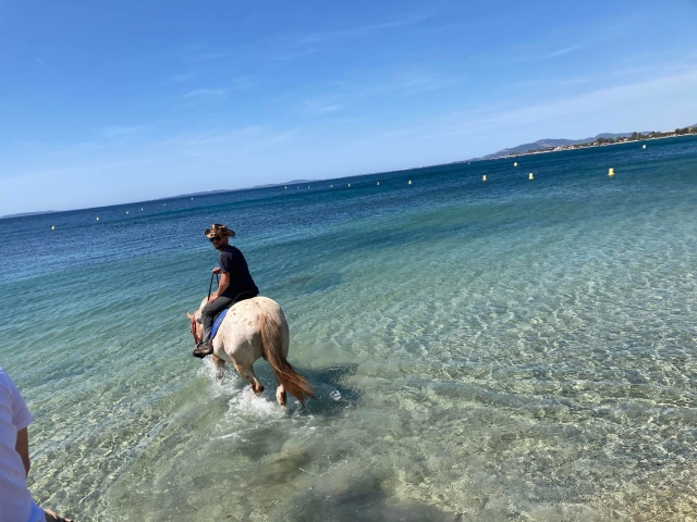  Una spiaggia paradisiaca percorsa a cavallo 