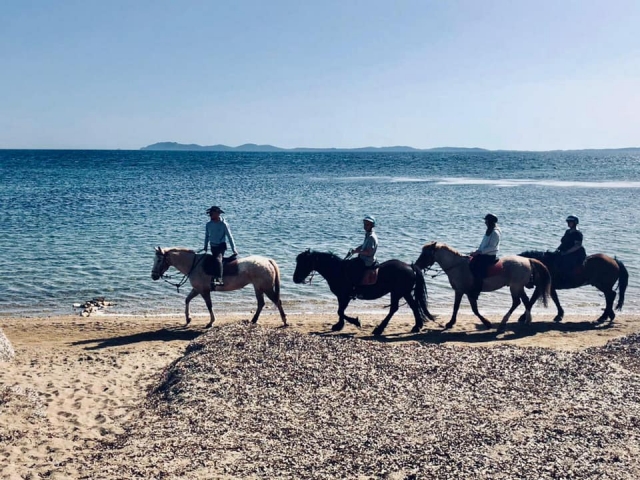  Passeggiata a cavallo sulle spiagge di Hyères 