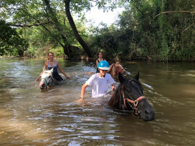  Passeggiata a cavallo in un fiume Var 