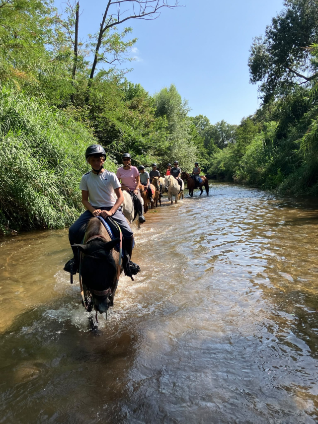 Review of MONDOLONI about Horseback ride on the river in La Crau 1h30