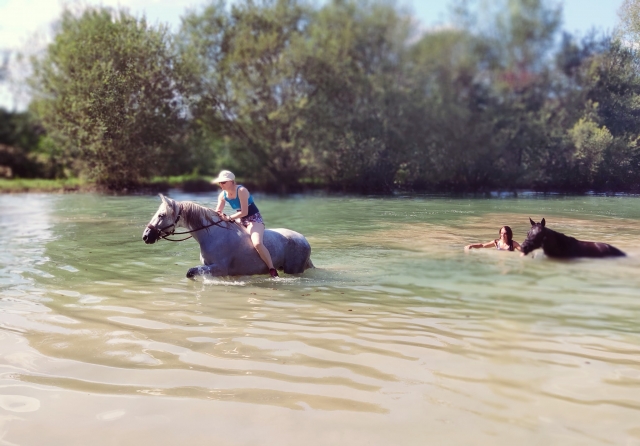  Reiten und Schwimmen 
